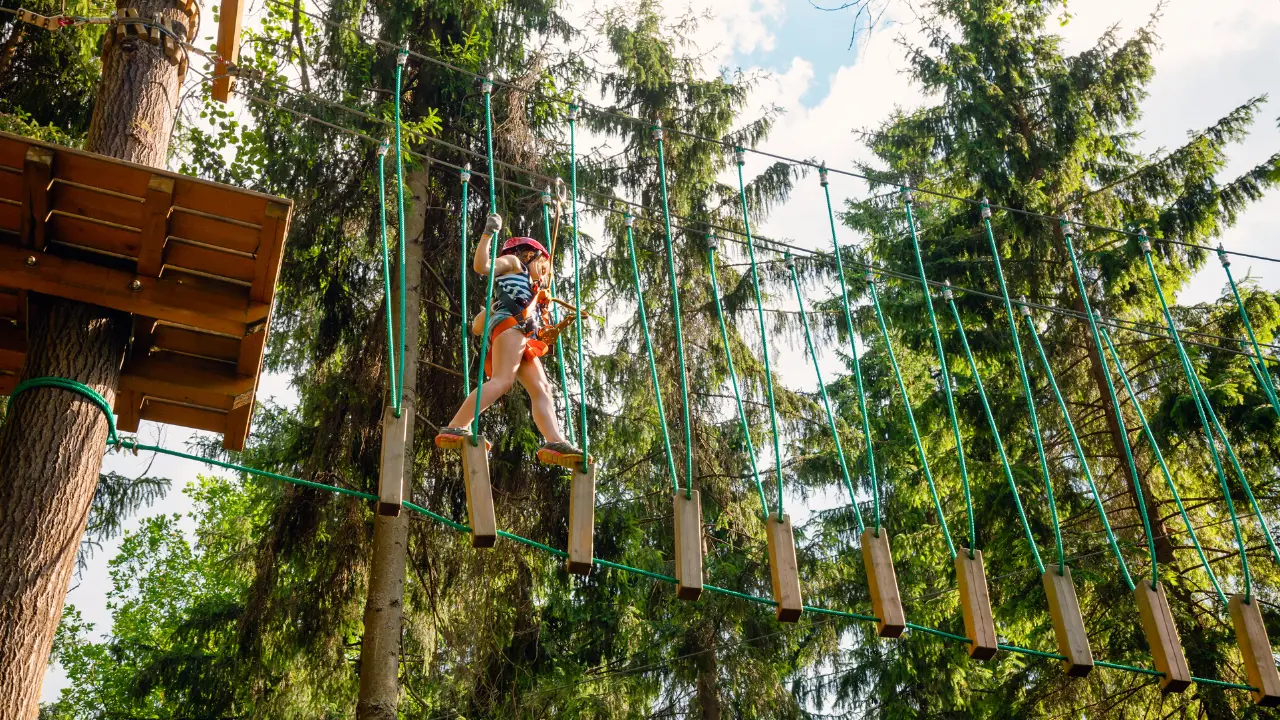 Parcours accrobranche à Bol d’Air La Bresse dans les Vosges, activité aventure en forêt avec passerelles suspendues en 2026.