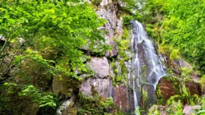 Cascade de Tendon dans les Vosges entourée de forêt, guide randonnée et conseils pour visiter en 2026