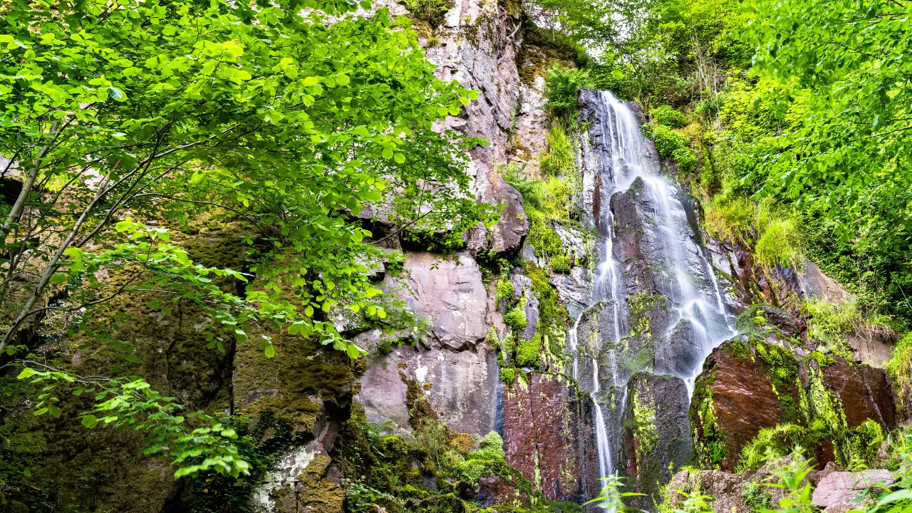 Cascade de Tendon dans les Vosges entourée de forêt, guide randonnée et conseils pour visiter en 2026