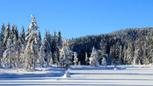 Photo du lac blanc des Vosges en hiver