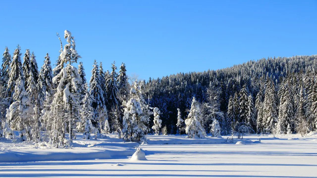 Photo du lac blanc des Vosges en hiver