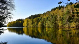 Lac des Vosges entouré de forêts aux couleurs automnales, reflétant un paysage naturel propice à la randonnée, à la détente et aux activités de plein air dans les Vosges.