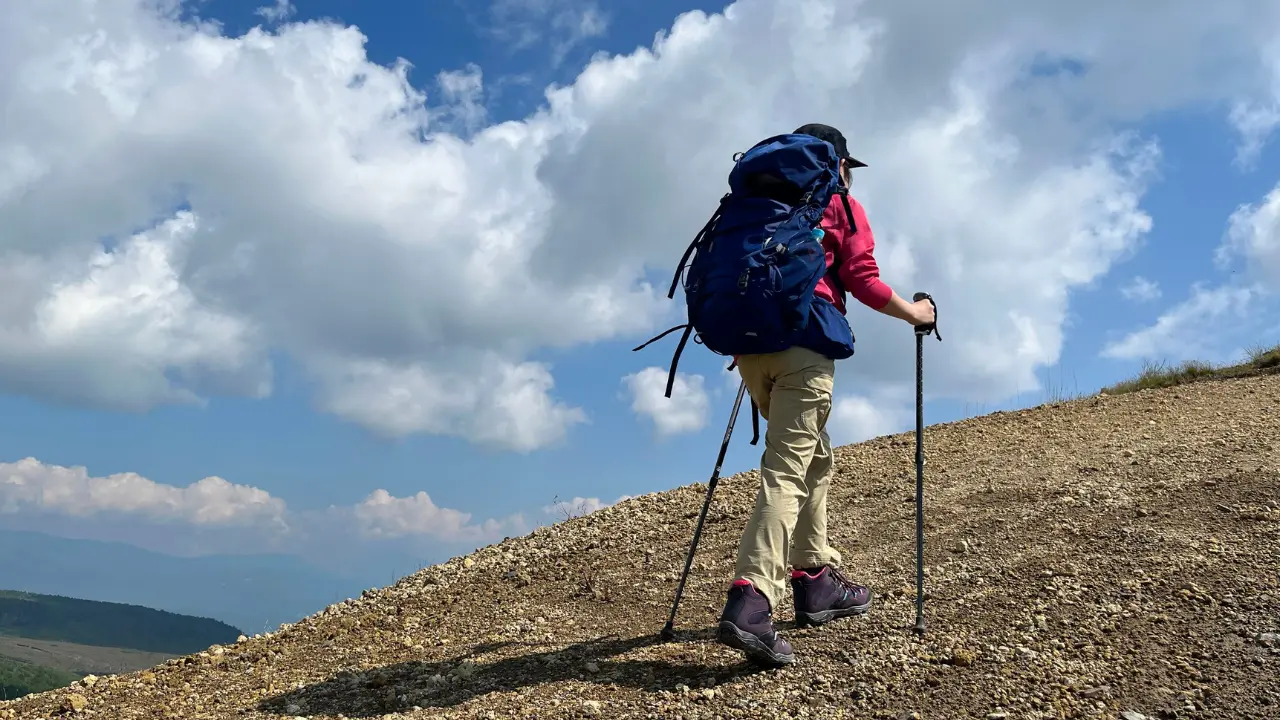 Randonneur gravissant un sentier du Hohneck avec sac à dos et bâtons de marche, illustrant les itinéraires de randonnée et l’observation de la faune, notamment des chamois, en 2026.