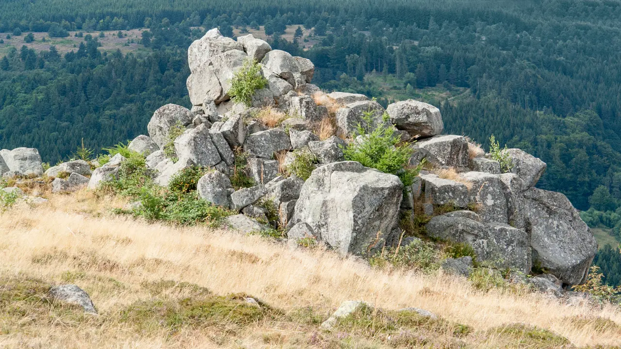Rocher emblématique du Sentier des Roches dans les Vosges, paysage de randonnée en montagne et panorama forestier en 2026.