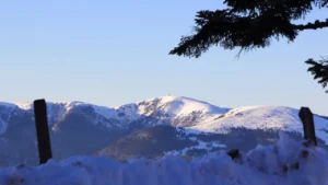 Paysage des Vosges en hiver avec montagnes enneigées et forêts, illustrant un week-end dans les Vosges et les itinéraires à découvrir en 2026.