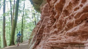 Sentier forestier longeant les falaises de grès rouge du Colorado lorrain à Altschlossfelsen, site de randonnée emblématique en 2026.