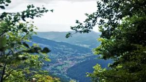 Vue panoramique sur la vallée depuis le col de la Schlucht dans les Vosges, paysage naturel et spot de randonnée et ski en 2026.