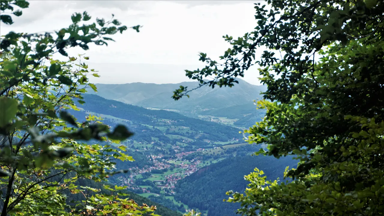 Vue panoramique sur la vallée depuis le col de la Schlucht dans les Vosges, paysage naturel et spot de randonnée et ski en 2026.