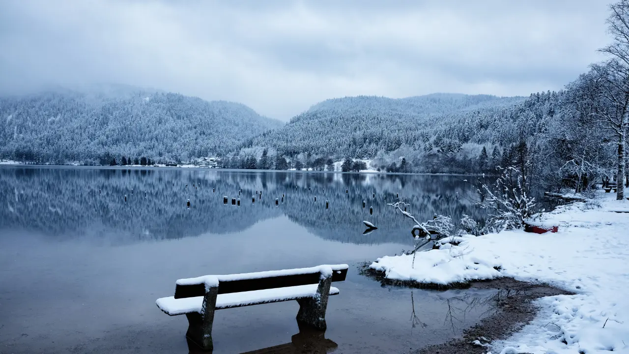 Lac de Longemer enneigé dans les Vosges avec reflets des forêts et montagnes, spot nature pour baignade et pêche en 2026.